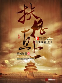 扶摇直上封面