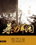 抗日之暴力军团封面