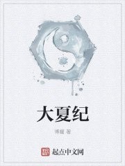 大夏纪封面