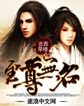 至尊无名封面