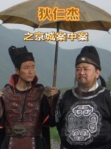 狄仁杰之京城案中案封面