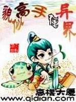 貌似高手在异界封面