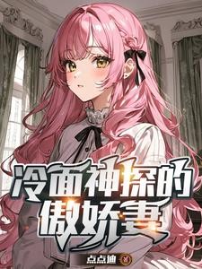 女神爱上冷面神探封面