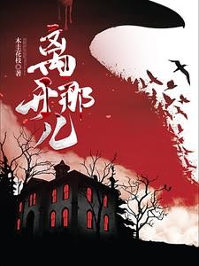 离开那儿封面