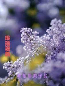 琳琅视角封面