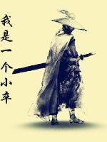 我是一个小卒封面