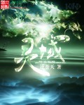 灵域封面