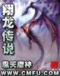翔龙传说封面