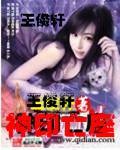 神印亡座封面