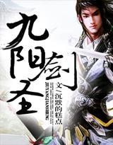九阳剑圣封面
