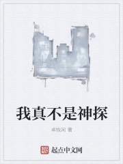我真不是神探封面