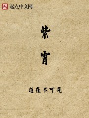 紫霄封面