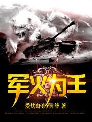 军火为王封面