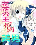 花花公主驾美男封面