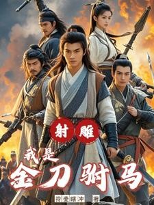 射雕:一剑霜寒十四州封面