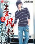 重生之风起封面