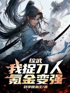 滴滴代打,一小时速通武帝城封面