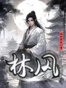 林风降临封面