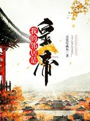 我的邻居是皇帝封面