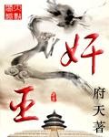 奸臣1封面