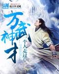 万武神才封面