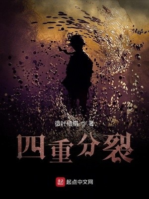 四重分裂封面