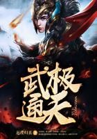 武极通天封面