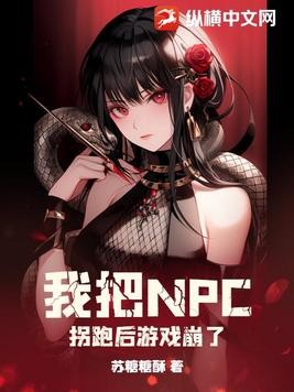 我把NPC拐跑后游戏崩了封面