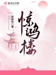 惊鸿楼封面