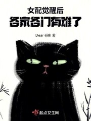 女配觉醒后,各家各门有难了封面