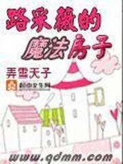 路采薇的魔法房子封面