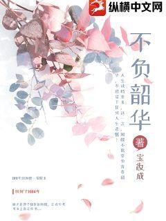 不负韶华封面