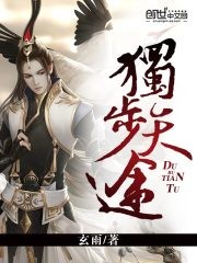 独步天途封面
