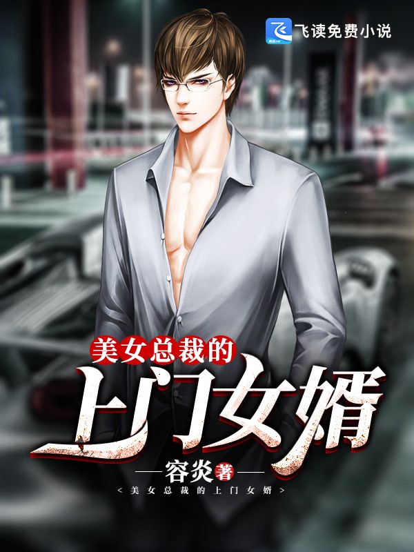 美女总裁的上门女婿封面
