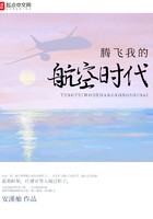 腾飞我的航空时代封面