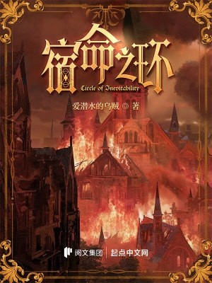 宿命之环封面