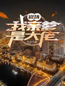 仕途,我的背景藏不住了封面