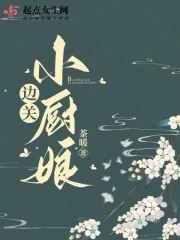 边关小厨娘封面