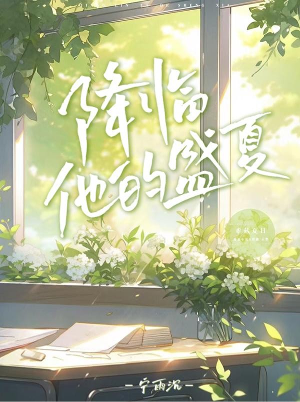 降临他的盛夏封面