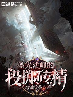 圣光法师的投掷砖精封面