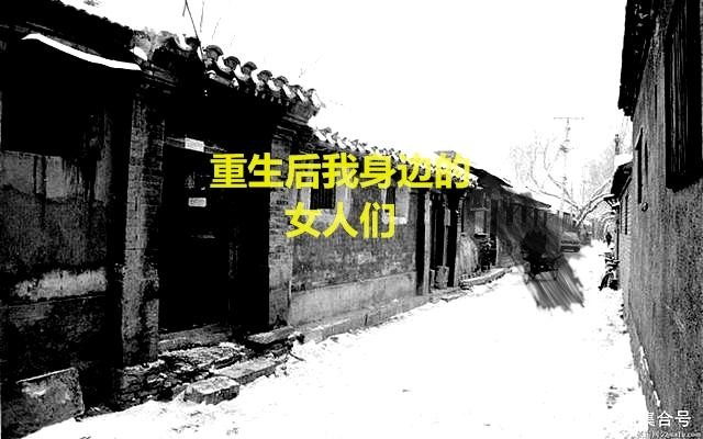 重生后我身边的女人们封面