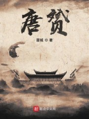 唐赟封面
