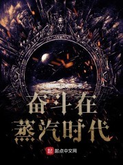 奋斗在蒸汽时代封面
