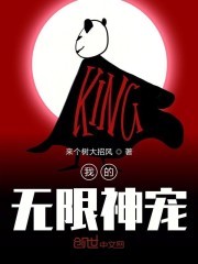 我的无限神宠封面