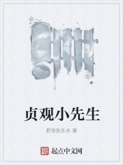 贞观小先生封面