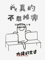 我真的不想摊牌封面