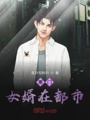 寒门女婿在都市封面