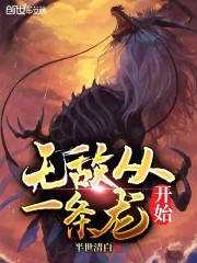 无敌从一条龙开始封面