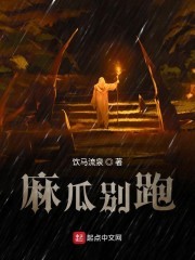 麻瓜别跑封面