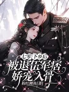 七零:下乡后被退伍军痞娇宠入骨封面